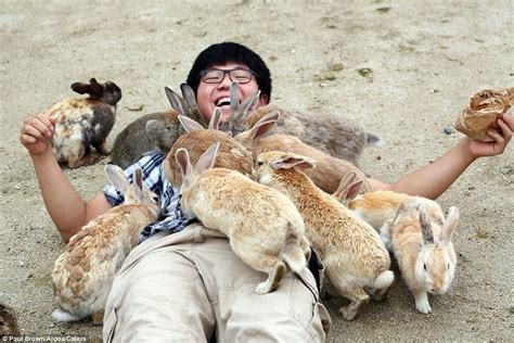 Japan Has An Island Full Of Friendly Bunnies