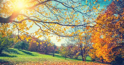 The Spiritual Meaning Of The Autumn Equinox Spirituality And Health
