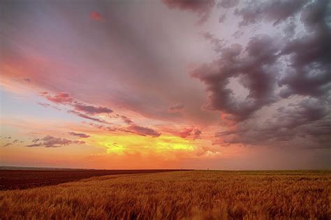 Colorado Eastern Plains Sunset Sky Photograph By James Bo Insogna