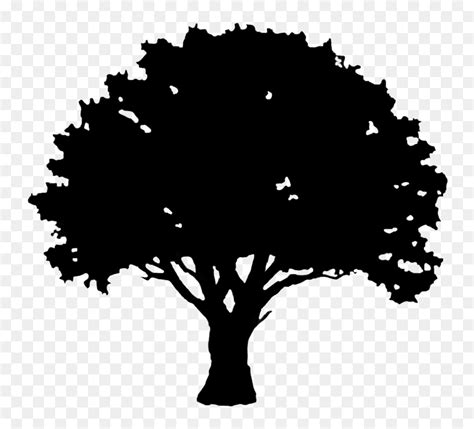 Simple Oak Tree Silhouette Hd Png Download Vhv