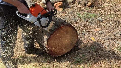 Stihl Ms461 Magnum Chainsaw Woods Ported Youtube