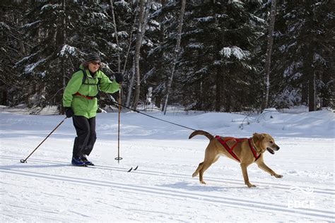 Cross Country Ski Through Unspoiled Wilderness Loring Restoule