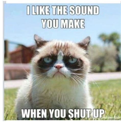 Grumpy Cat Shut Up Humor Funniesrandoms Pinterest Grumpy Cat