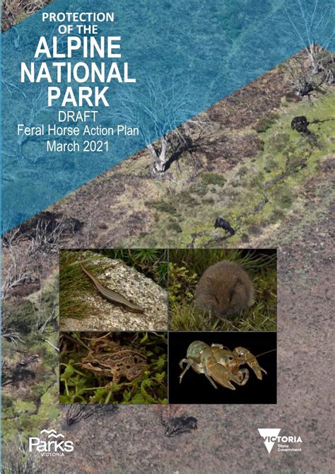 Alpine National Park Draft Feral Horse Action Plan March 2021 Docslib