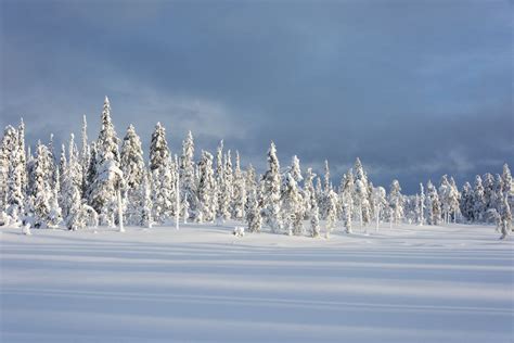Salla Finland Snow Nature And Nowhereness