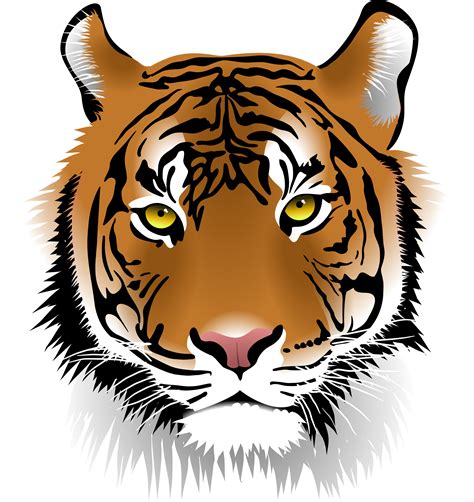 Png Tiger Face Transparent Tiger Facepng Images Pluspng