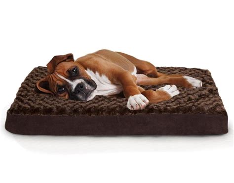 Top 10 Best Pet Beds in 2020 | Orthopedic dog bed ...