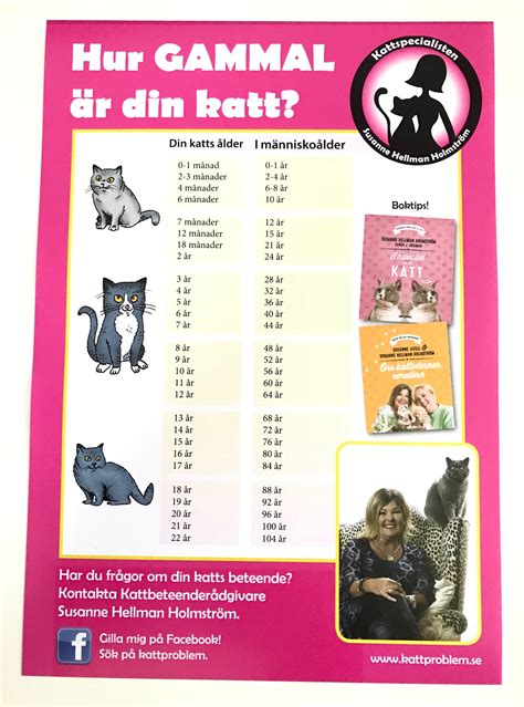 Hur Gammal är Din Katt Egentligen Kattproblem