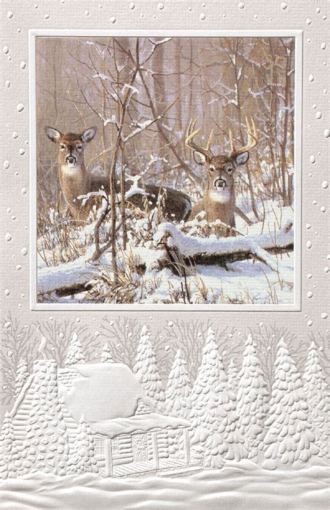 Pack Of 16 Winter Scene Deer Fine Art Embossed Deluxe