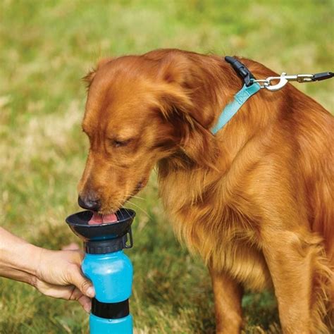 Doggy Bottle In 2020 Portable Water Bottle Dog Water Dispenser Pet