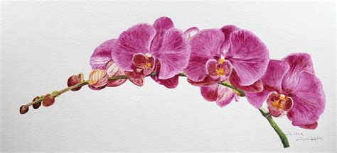 Pink Orchids Acrylic Painting Rorchids