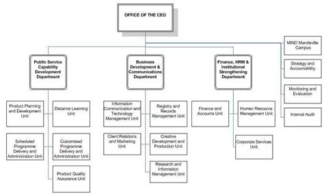 Mind Organizational Structure