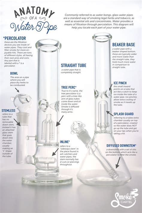 how does a bong work a guide to the water pipe leafly