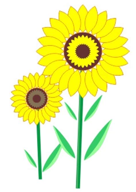 Animasi Bunga Matahari - ClipArt Best