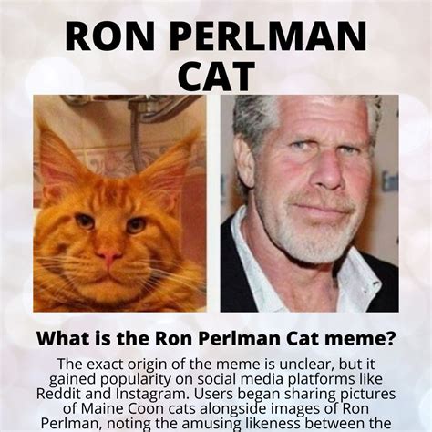 10 Amazing Facts Ron Perlman Cat Breed And Meme