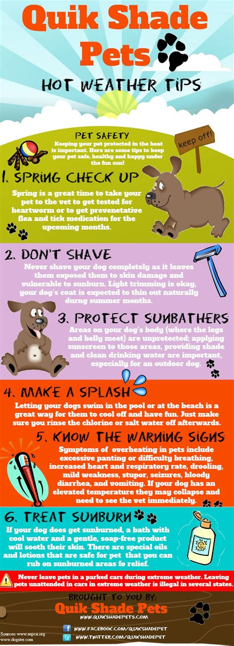 30 Infographics That Can Save Your Pet Pet Safety Tips Free