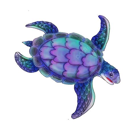 Sea Turtle White Transparent Sea Turtle Purple Sea Animal Marine