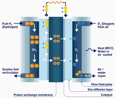 Hydrogen Fuel Cell Schematic