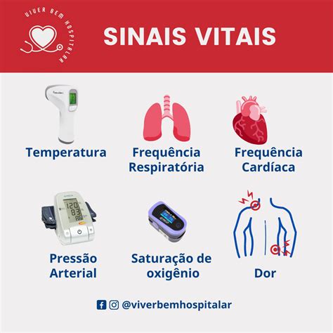 Sinais Vitais Temperatura Termos Técnicos