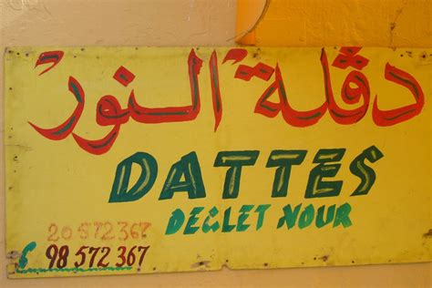 Première Leçon Darabe Tunisien Lami Du Vent Randonnée Dans Les