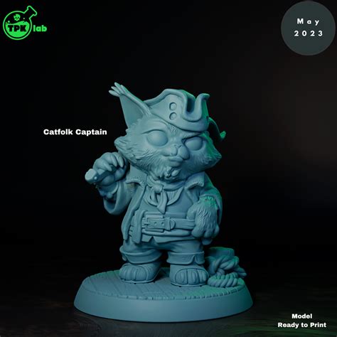 3d File Catfolk Pirate Captain・3d Printing Idea To Download・cults