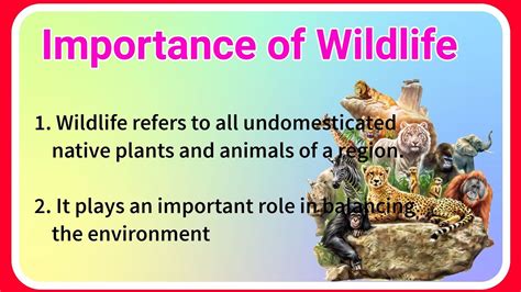Importance Of Wildlife 10 Lines In English Essay On Importance Of