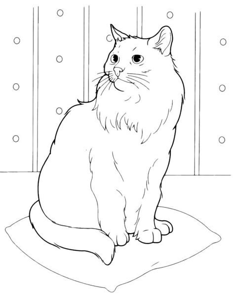 Planse de colorat animale domestice caine soarece pisica jpg 842. Desene de colorat cu copii, pe damy