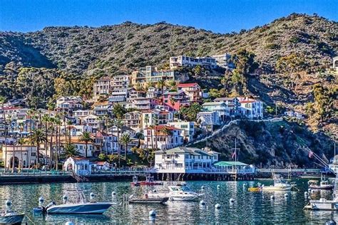 Things To Do In Santa Catalina Island Places To Visit In Santa