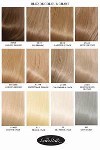 Ash Hair Color Chart Hairstylingstudio