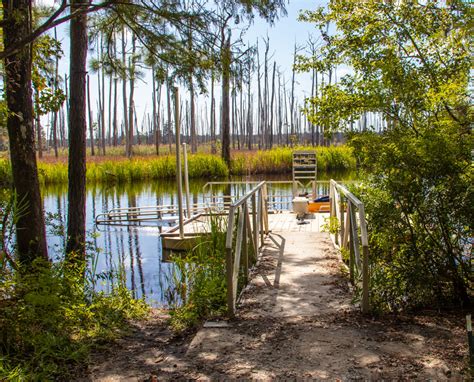 Brunswick Nature Park Winnabow Nc 28479