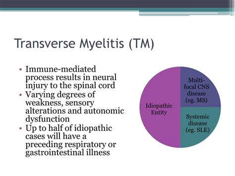 Therefore, physicians must be aware of the many potential etiologies for acute myelopathy, and should pursue. PPT - Transverse Myelitis PowerPoint Presentation, free ...