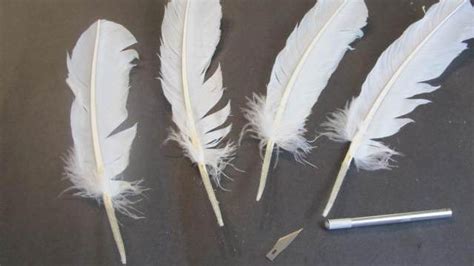 Bristol weight card stock can still be coiled and rolled up using a quilling tool, but cover stock would be too think to fit into a tool and would crack. How to Make a Feather Quill Pen