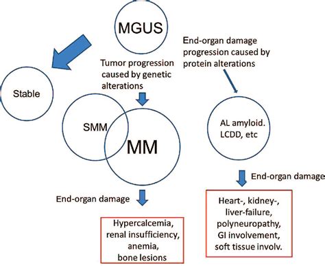 Figure 1 From Differential Diagnosis Of Monoclonal Gammopathy Of
