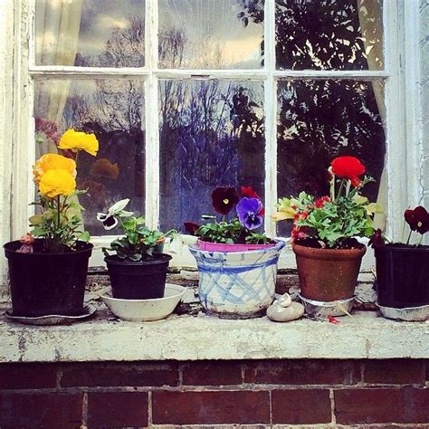 Perfect Window Sill Of Flowers With Images Flowers