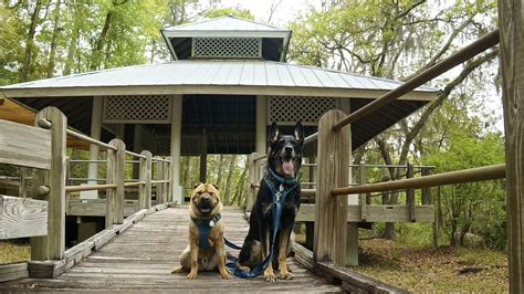 State Parks that Allow Pets