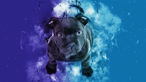 Download 3840x2400 Black Puppy Dog Cute Digital Art 4k Wallpaper 4k