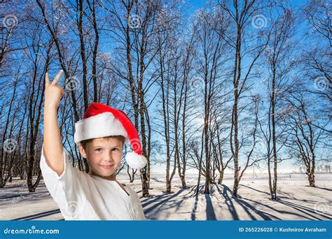 Handsome Boy In A Red Hat Stock Photo Image Of Christmas 265226028