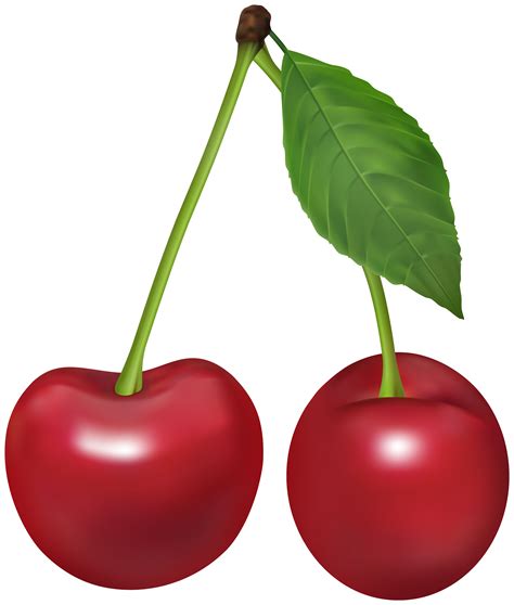 Cherry Clipart Cheery Cherry Cheery Transparent Free For Download On Webstockreview