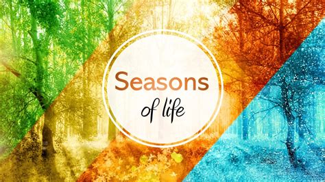 Seasons Of Life New Birth Evangelical Baptist Church