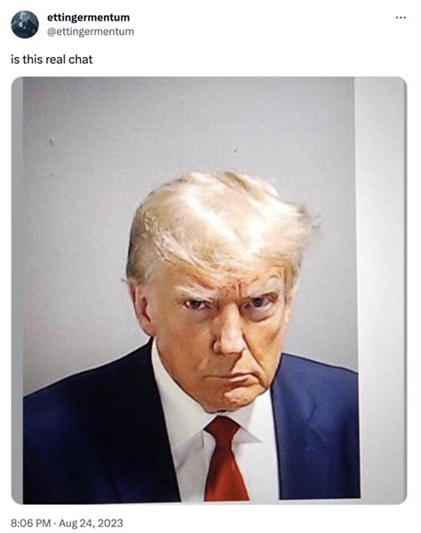 Donald Trumps Mugshot Released Heralding New Era For The Internet And