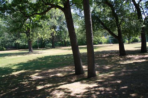 Patch Picks: 5 Great Parks in Dedham | Dedham, MA Patch