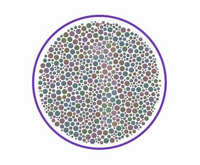 Test Vision Colour Check Enchroma Blind Blindness