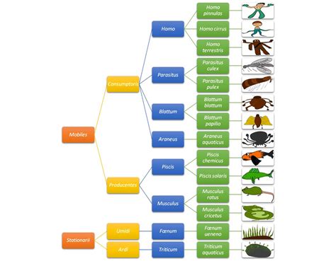 Taxonomic Scheme