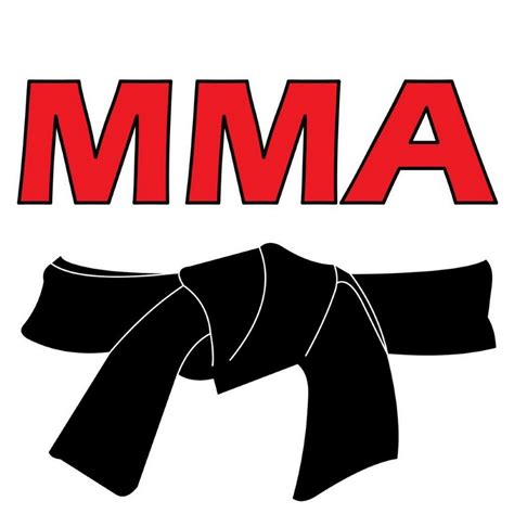 איך לשקלל את מחיר הרכב? MMA BLACK BELT - don.co.il