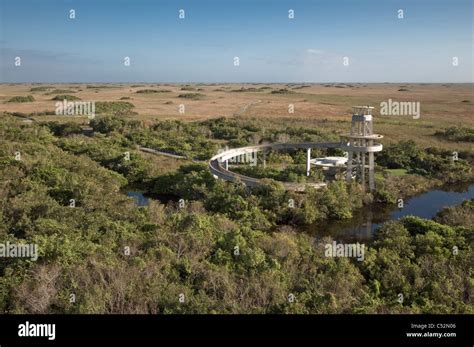 Enp Everglades National Park Shark Valley Loop Tower Stock Photo Alamy