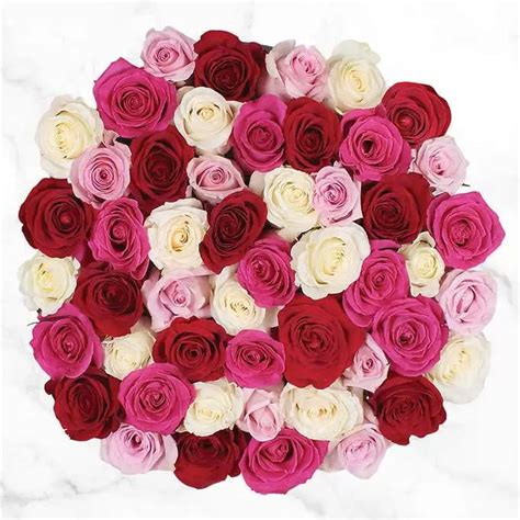 50 Stem Valentines Day Roses Deals