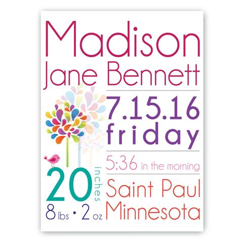 Baby Girl Birth Announcement Canvas Sign
