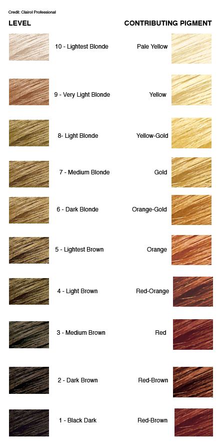 Level 8 Hair Color Chart