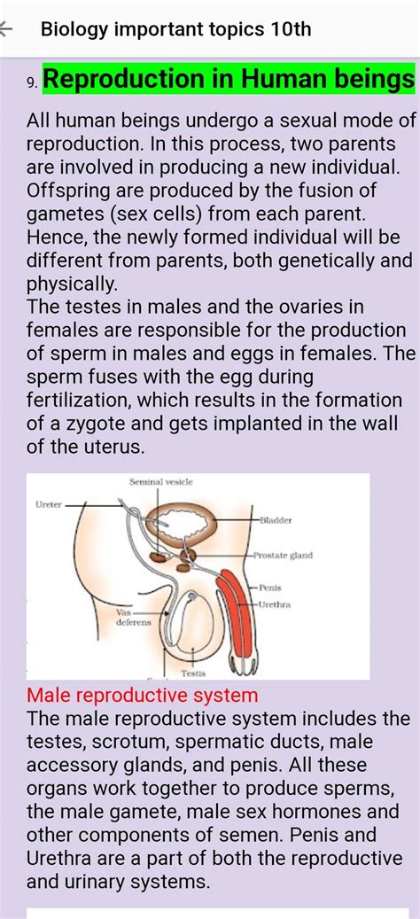 ← Biology Important Topics 10th 9 Reproduction In Human Beings All Human