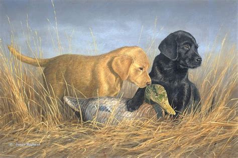 Lab Pups And Decoy By Jim Hautman Wildlife Paintings Wildlife Art